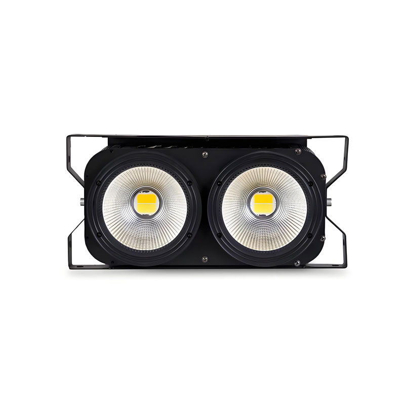 2 Eyes COB Indoor Audience Light